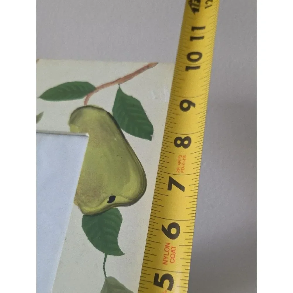 Furio Garden Pear Picture Frame - 4x6